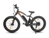 Ecotric Rocket Fat Tire Electric Bike