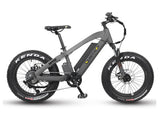 QuietKat RIPPER 500-watt Fat Tire Electric Mountain Bike