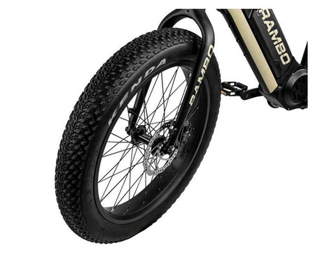 RAMBO RYDER 750W 24" All Terrain Fat Tire Electric Bike