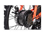Rattan LF 750W Fat Tire Folding Electric Bike