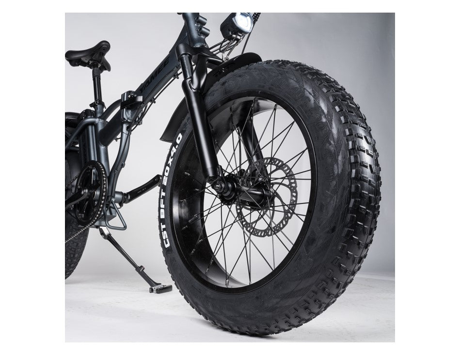 Rattan LM 750W Fat Tire Folding Electric Bike