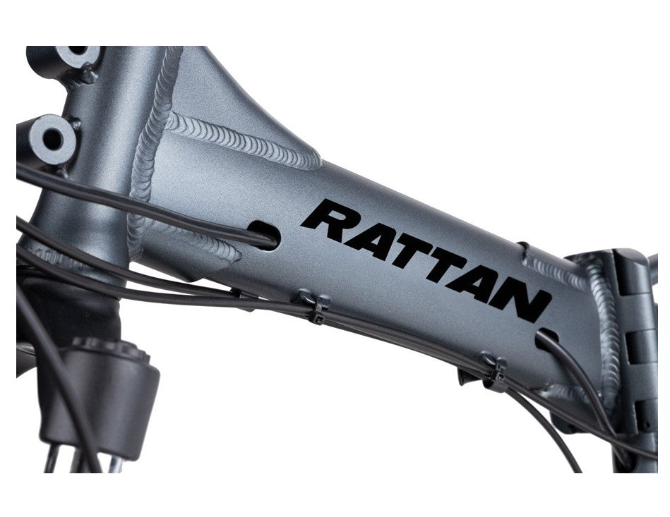 Rattan LM 750W Fat Tire Folding Electric Bike