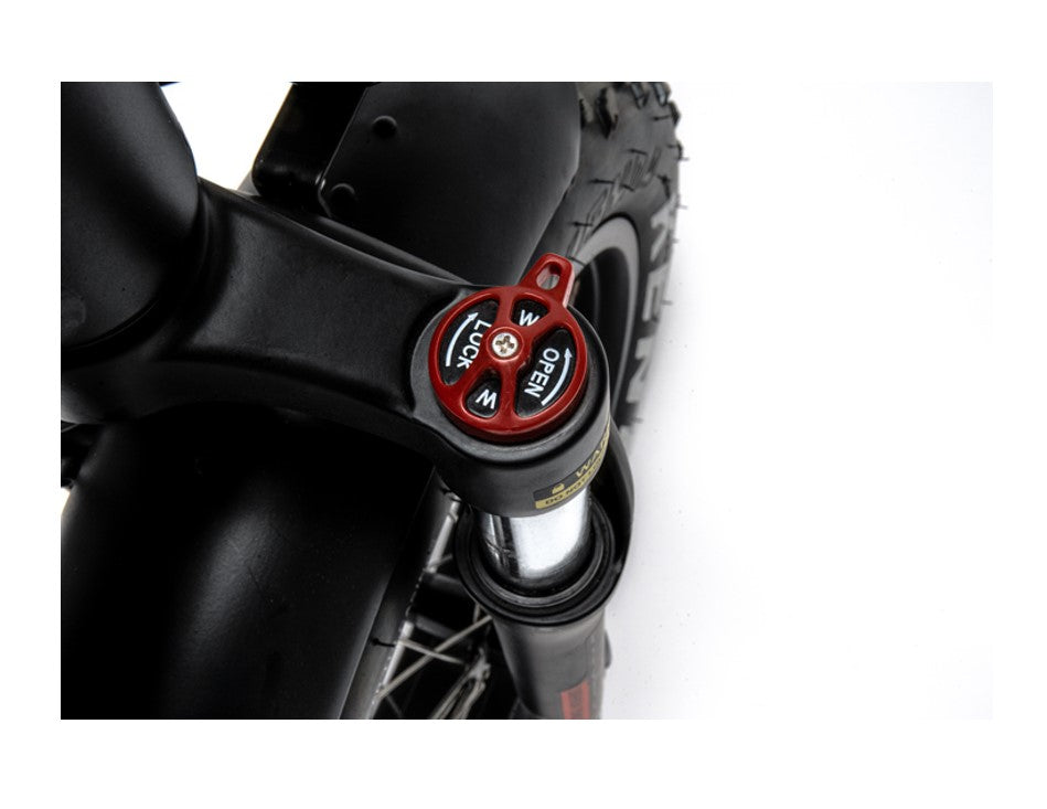500W Ridel Snugger Moped Electric Bike